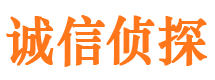 西沙寻人公司